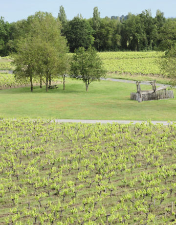 Demande à l’acquisition pour des domaines viticoles menés en agriculture biologique