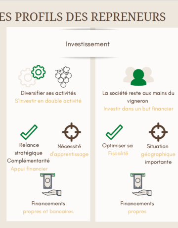 Processus de reprise d’un domaine viticole par des non initiés (1/2) – Les profils