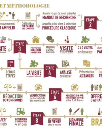 Processus de reprise d’un domaine viticole par des non initiés (2/2) – Les étapes