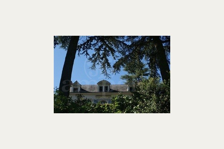 Propriété vendue Anjou, château de Suronde (2016)