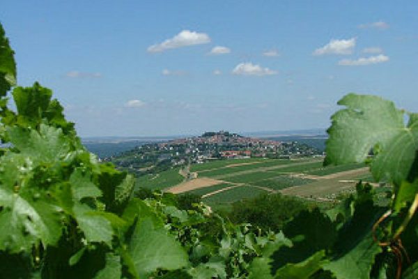 Domaine viticole vendu-sancerre andre raffaitin (2010)