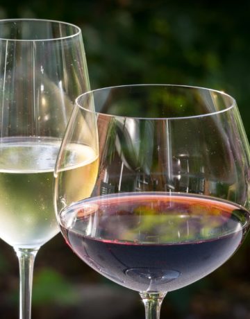 Quelles AOP du Val de Loire privilégier pour investir ou s’installer ?