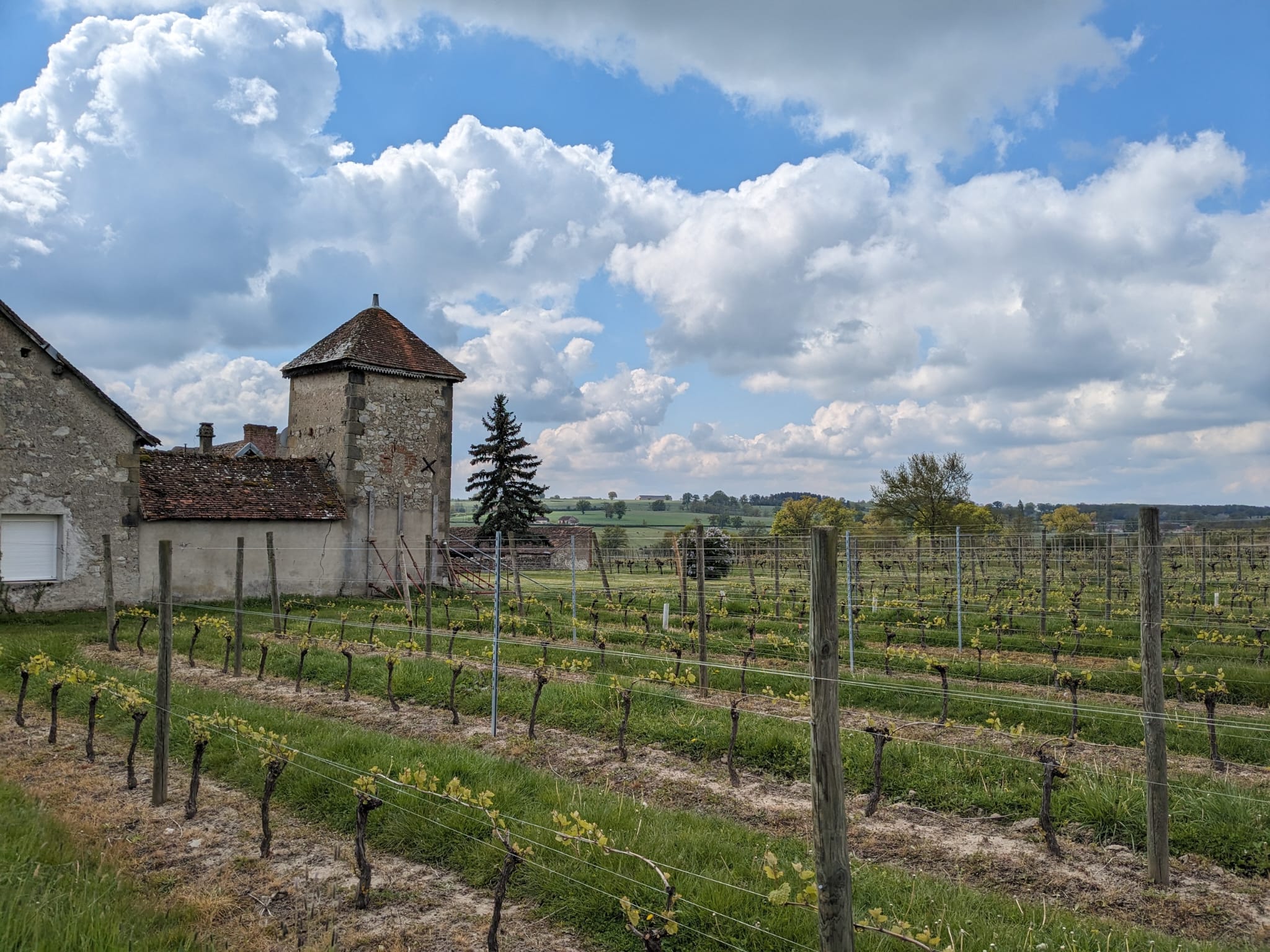 Parcelle de vigne et bâtiment attenant