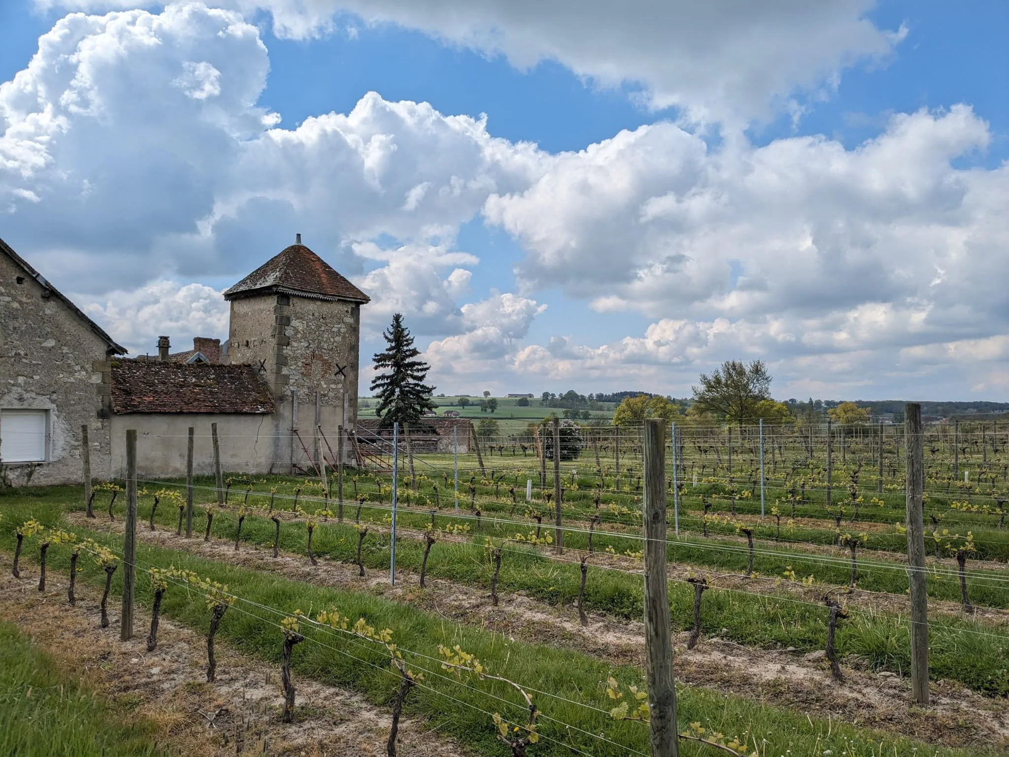 Parcelle de vigne et bâtiment attenant