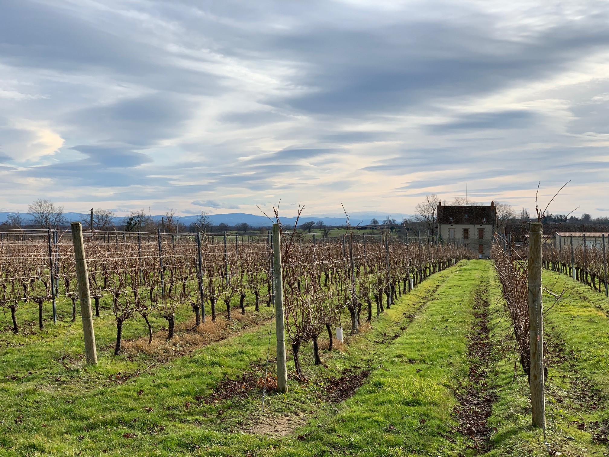 Vignes Auvergne et bâtiment
