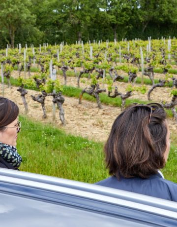 Dans les coulisses d’Ampelio : une journée avec une chargée d’affaires viticole