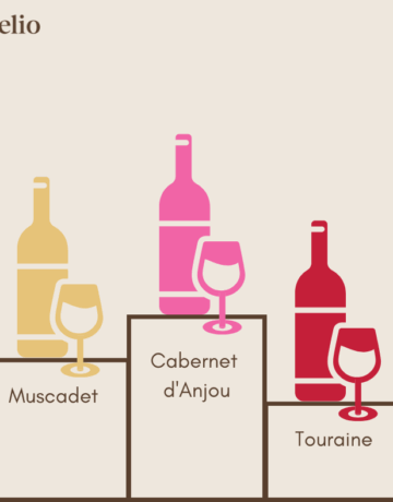 Top 5 des AOP les plus produites en Val de Loire : volumes, cépages et spécificités