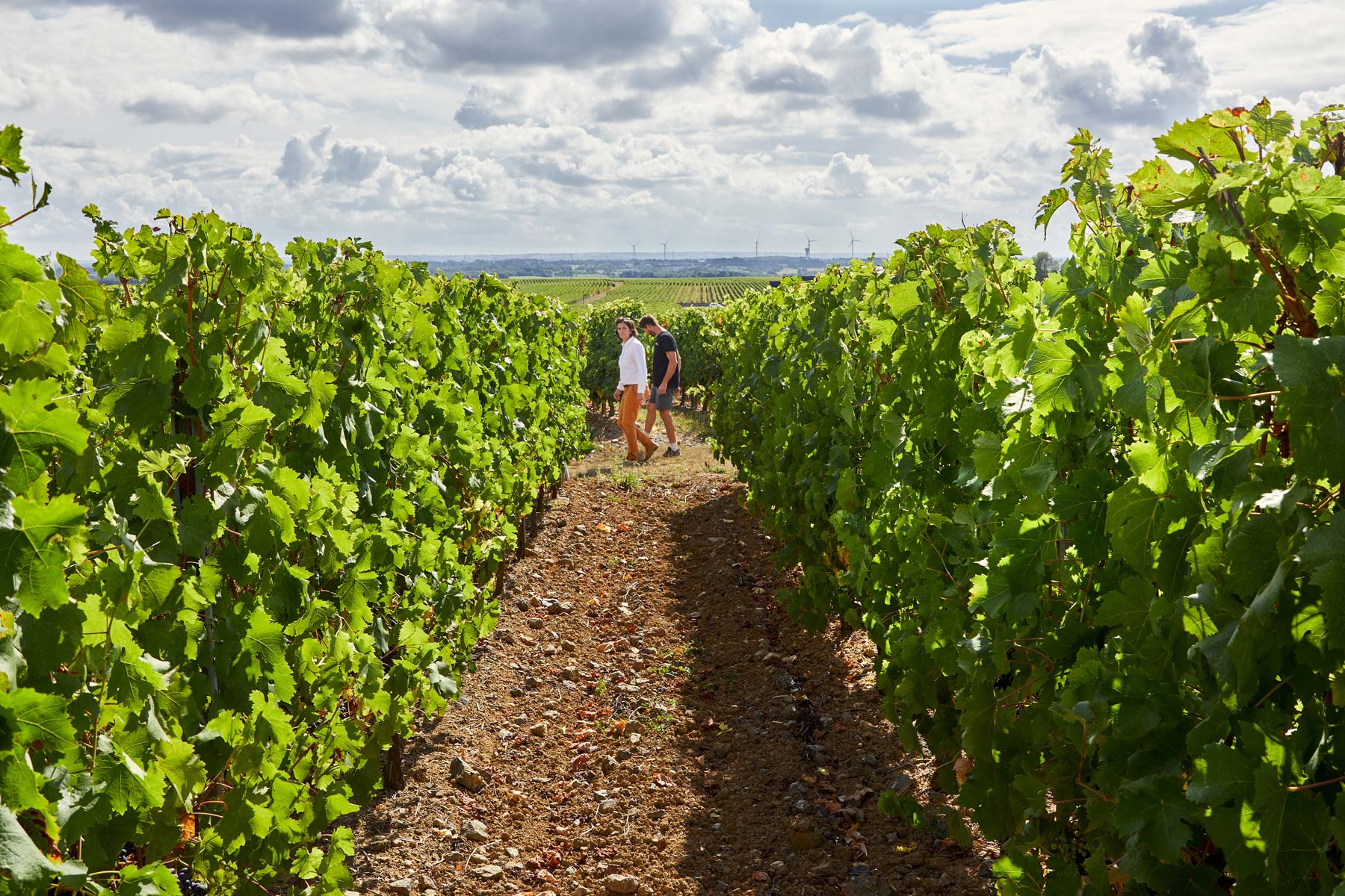 Marine Boudignon accompagne un vigneron dans son domaine viticole