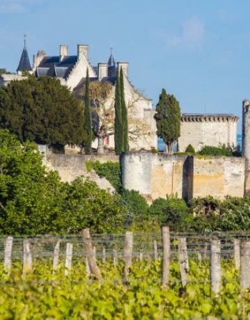 Œnotourisme en Val de Loire : définition, activités et chiffres clés du secteur