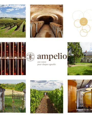 Retour chiffré sur l’année 2022 d’Ampelio