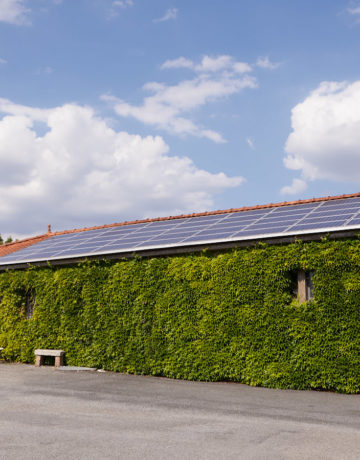 Photovoltaïque et viticulture : ce qu’il faut savoir avant d’équiper son domaine