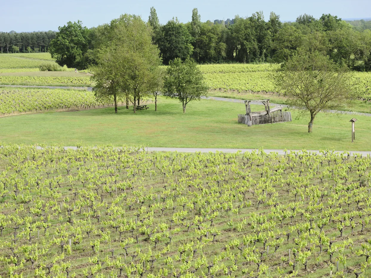 Vue de haut de l'entrée d'un domaine viticole avec une grande parcelle de vignes