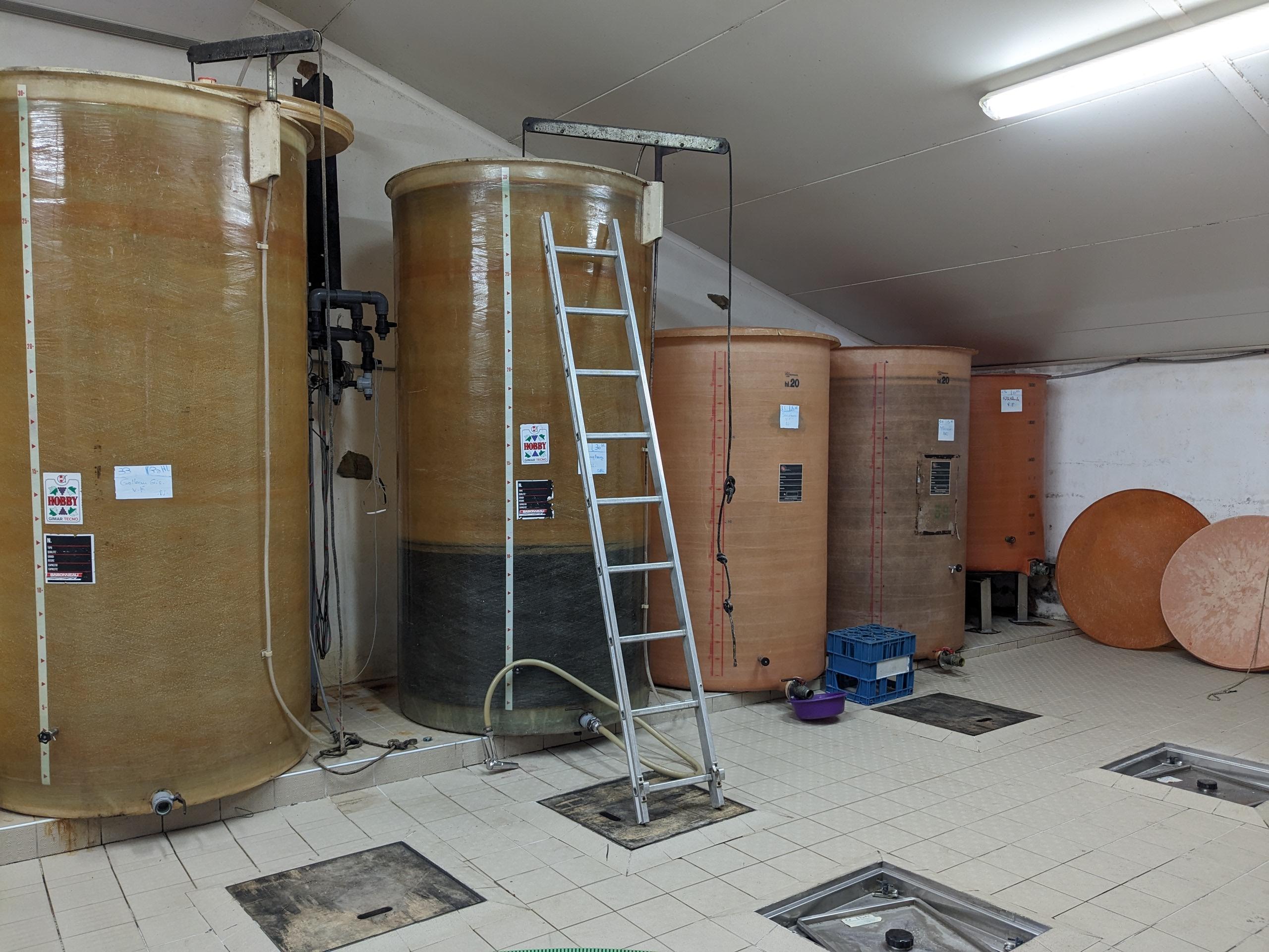 Cuverie fibre d'un domaine viticole