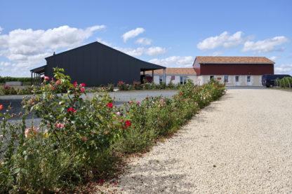 La belle entrée d'un domaine viticole, avec oenotourisme, hangar à matériel et un parterre de fleurs