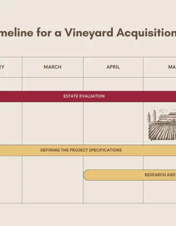 Vineyard Acquisition Timeline: Key Steps to Know