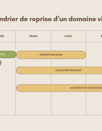 Calendrier de reprise d’un domaine viticole : les étapes clés à connaître