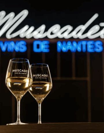Interview de Romain Mayet, ingénieur à la fédération des vins de Nantes