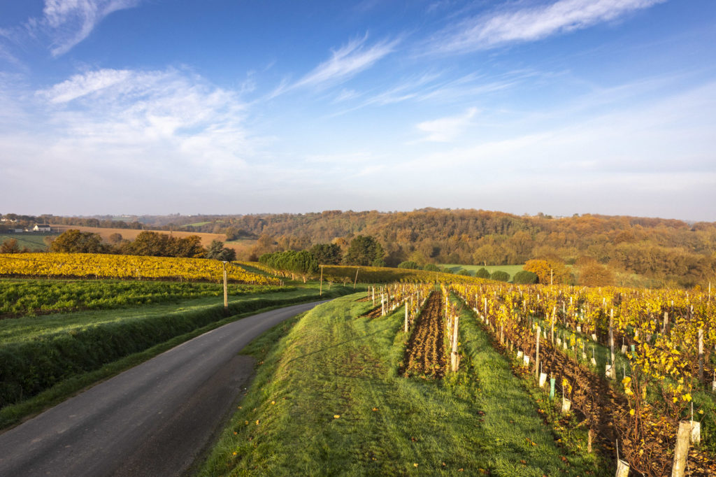 Route des vins de loire, entre les vignobles