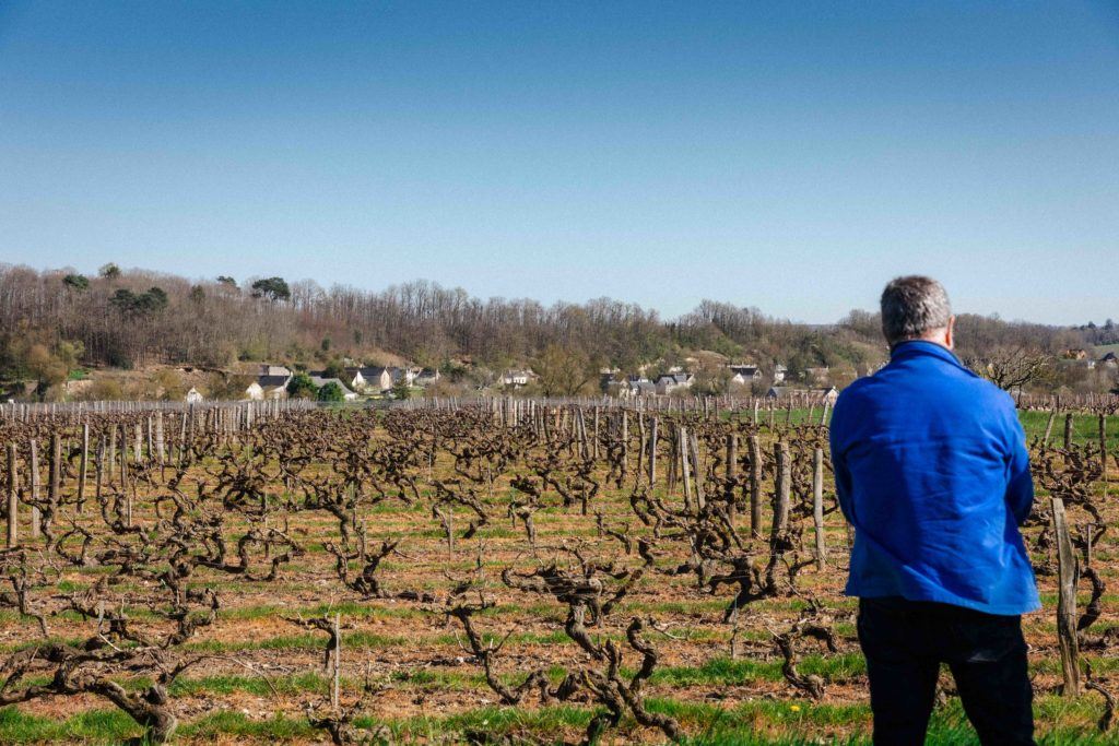 Un vigneron dans ses vignes