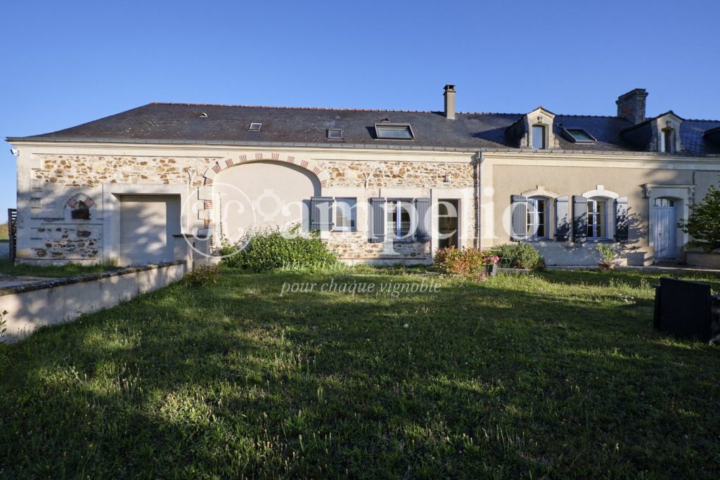 Vignoble à vendre en Anjou