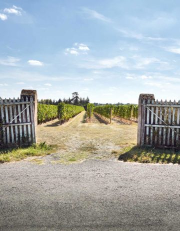 L’INSTALLATION DES JEUNES VIGNERONS