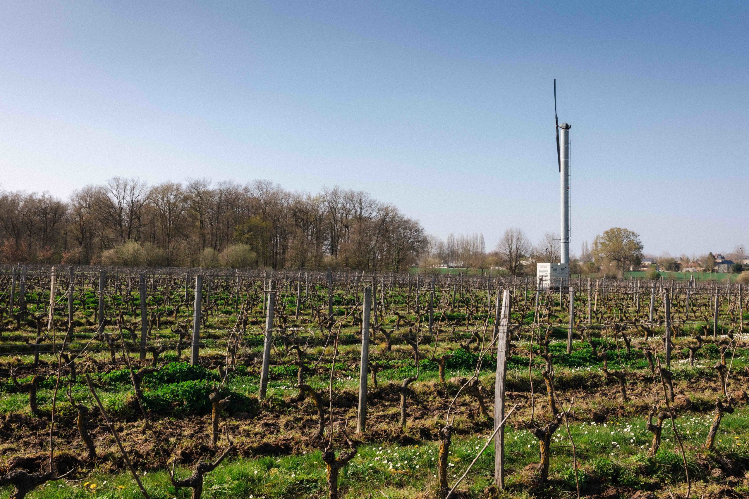 Tour antigel vignoble
