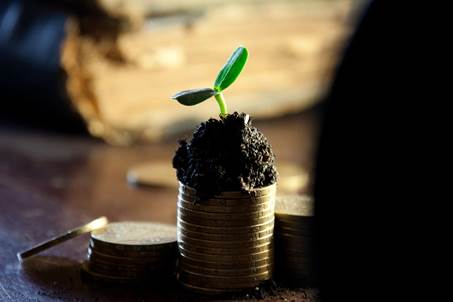 Un investissement dans les vignes