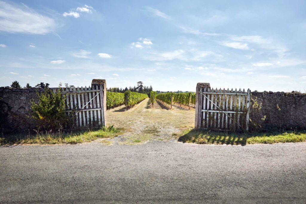 Portail ouvrant sur une parcelle de vignes