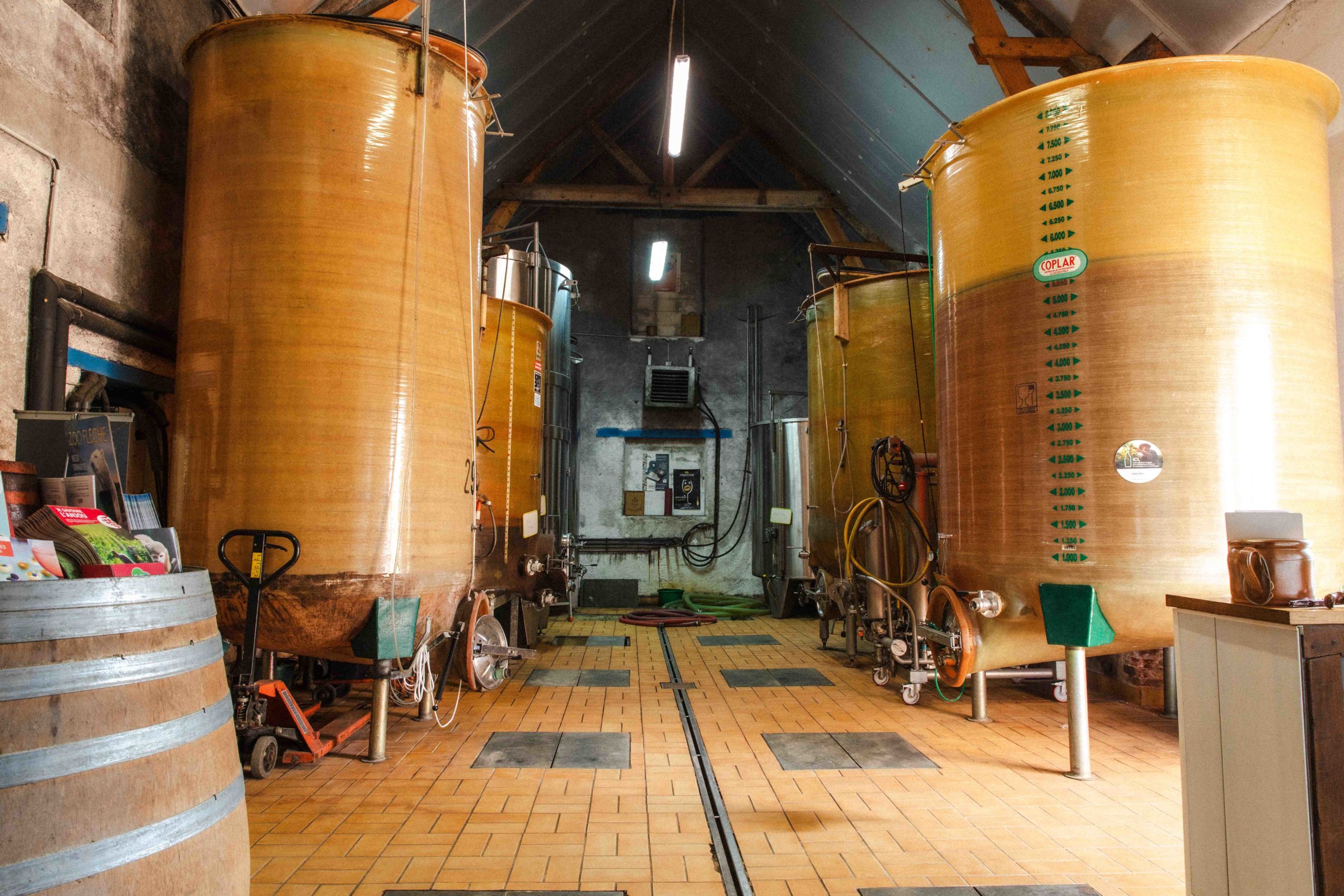 Une grande cuverie en fibre dans un domaine en Anjou., Une barrique de vins en premier plan