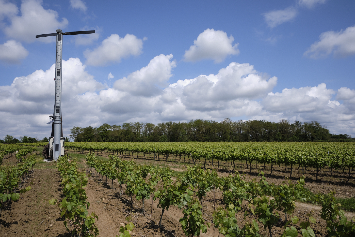 Tour anti gel vignoble