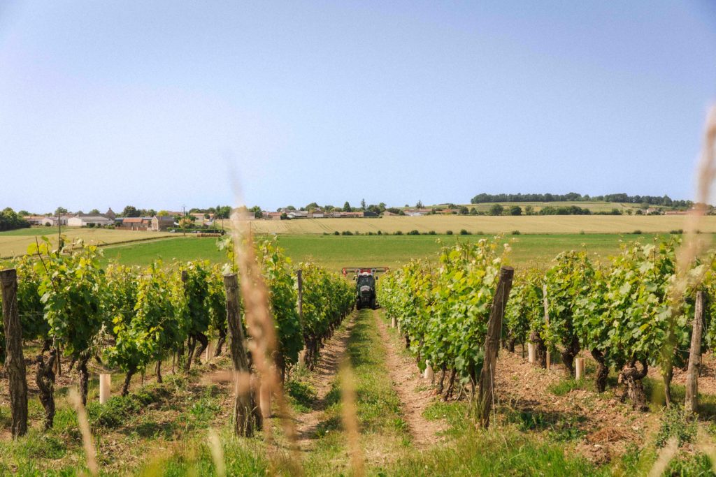 Un tracteur traite les vignes
En arrière plan, un champ et un paysage typique de l'Anjou