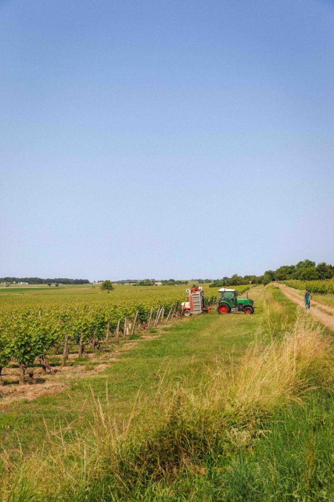 Un vigneron guide un tracteur viticole parmi ses vignes