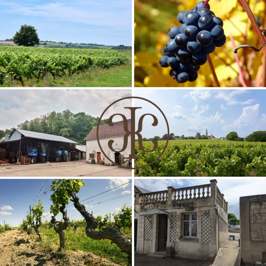 6 domaines viticoles en Loire Anjou, Reuilly, Touraine, Saumur
