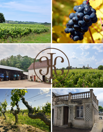 Transmission de domaines viticoles en Val de Loire : Chiffres clés 2025 et perspectives 2026