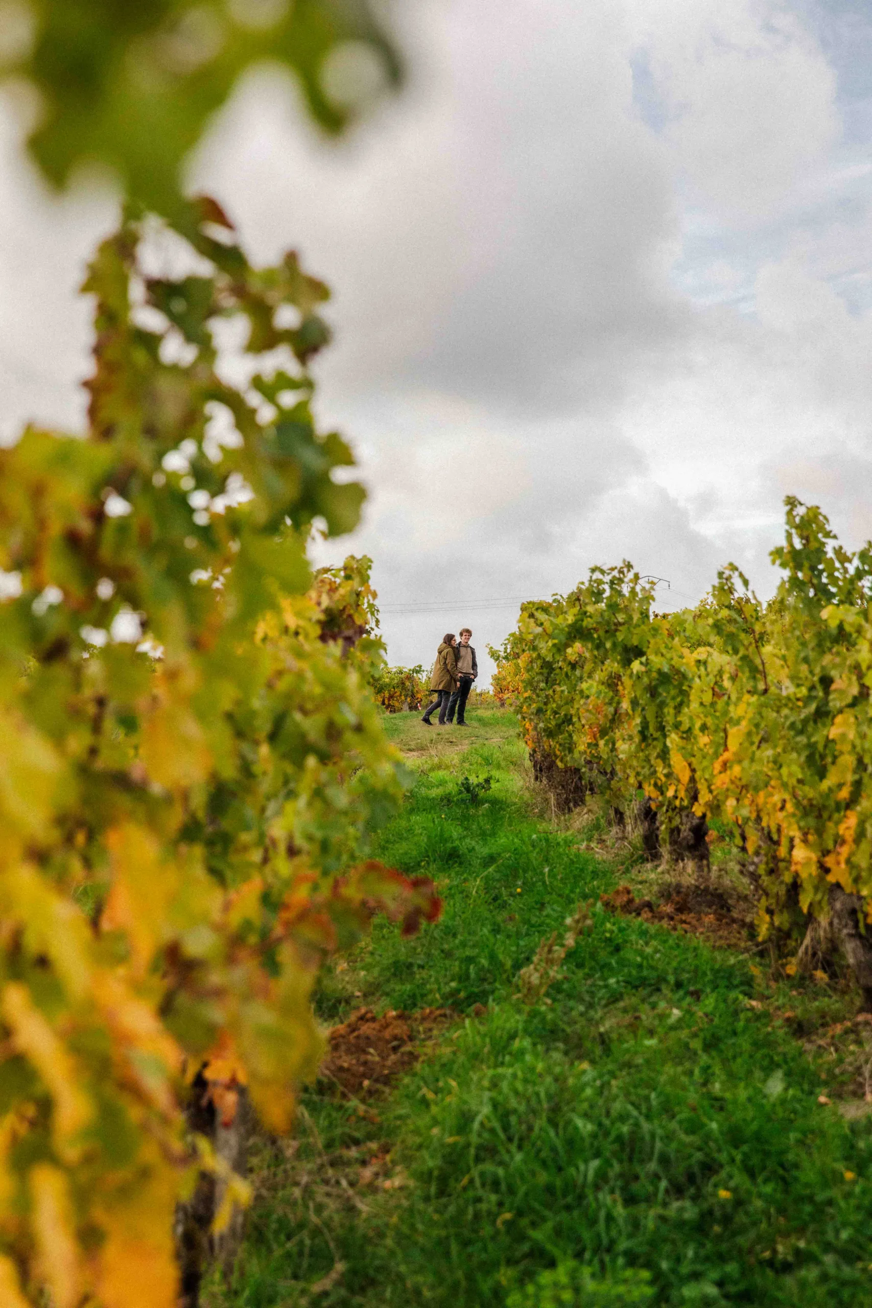 Deux personnes marchant au cœur des rangs de vignes, illustrant l’accompagnement humain et discret d’un domaine viticole.