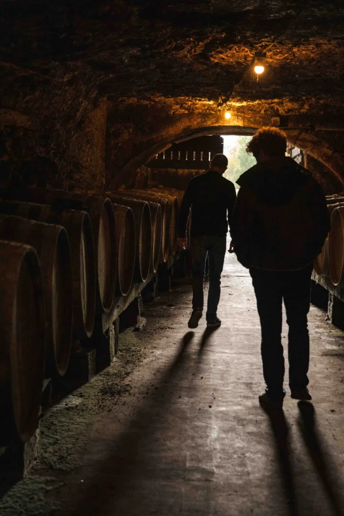 Deux personnes marchant dans un chai viticole bordé de fûts, lors d’une visite de domaine dans un cadre confidentiel.