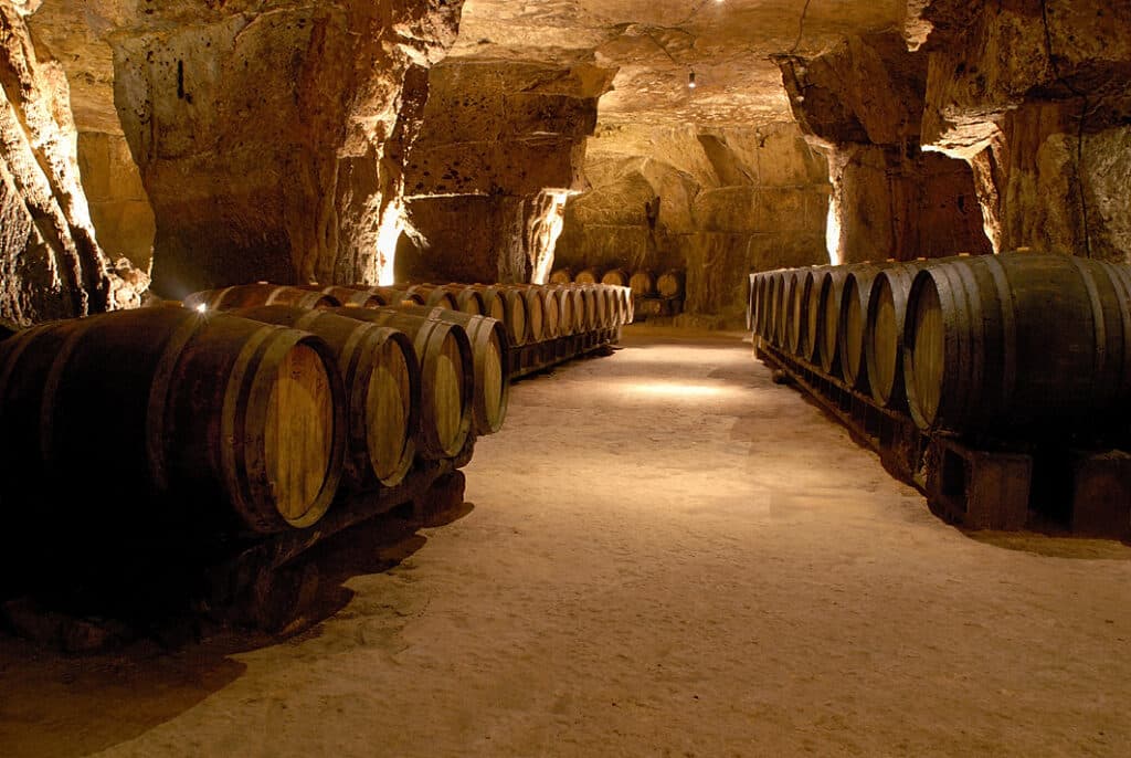 Vignoble à vendre en 