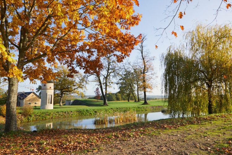 vignes et étang