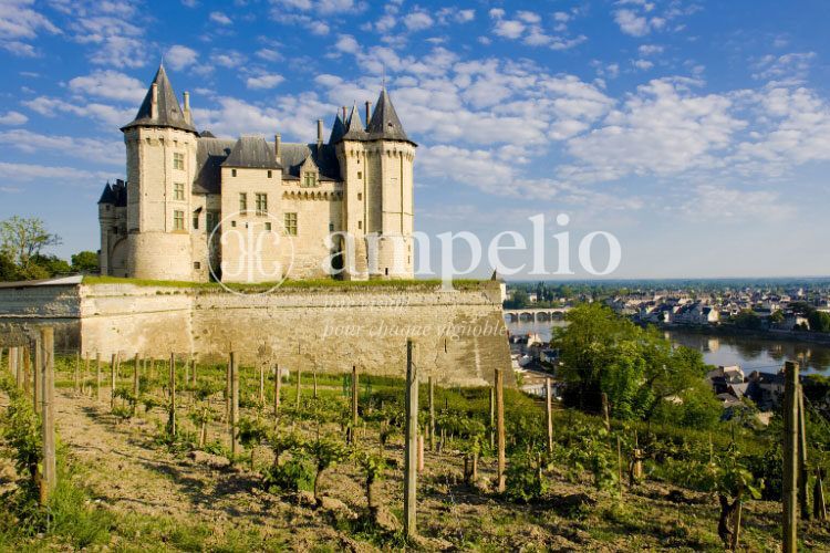 Vignoble-Saumur