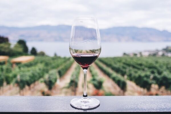 verre de vin - oenotourisme - Ampelio