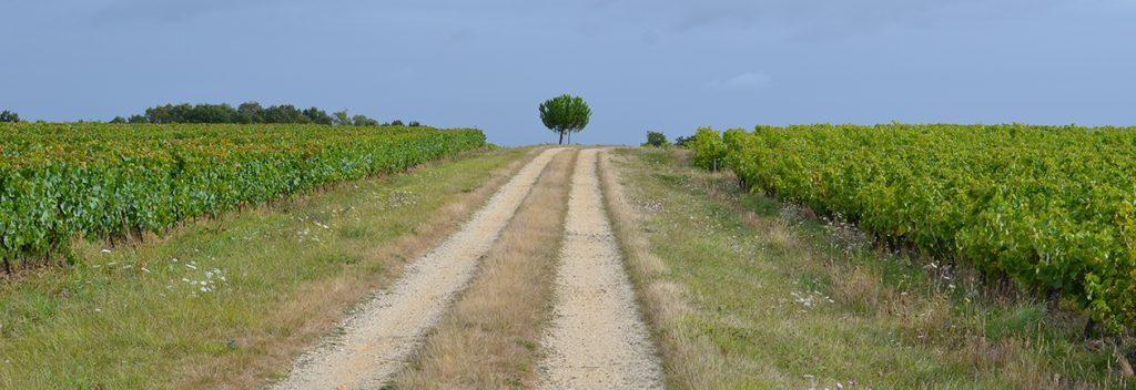 Propriétés à la vente