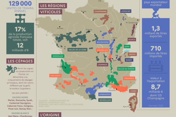 Les chiffres clés de la viticulture en France