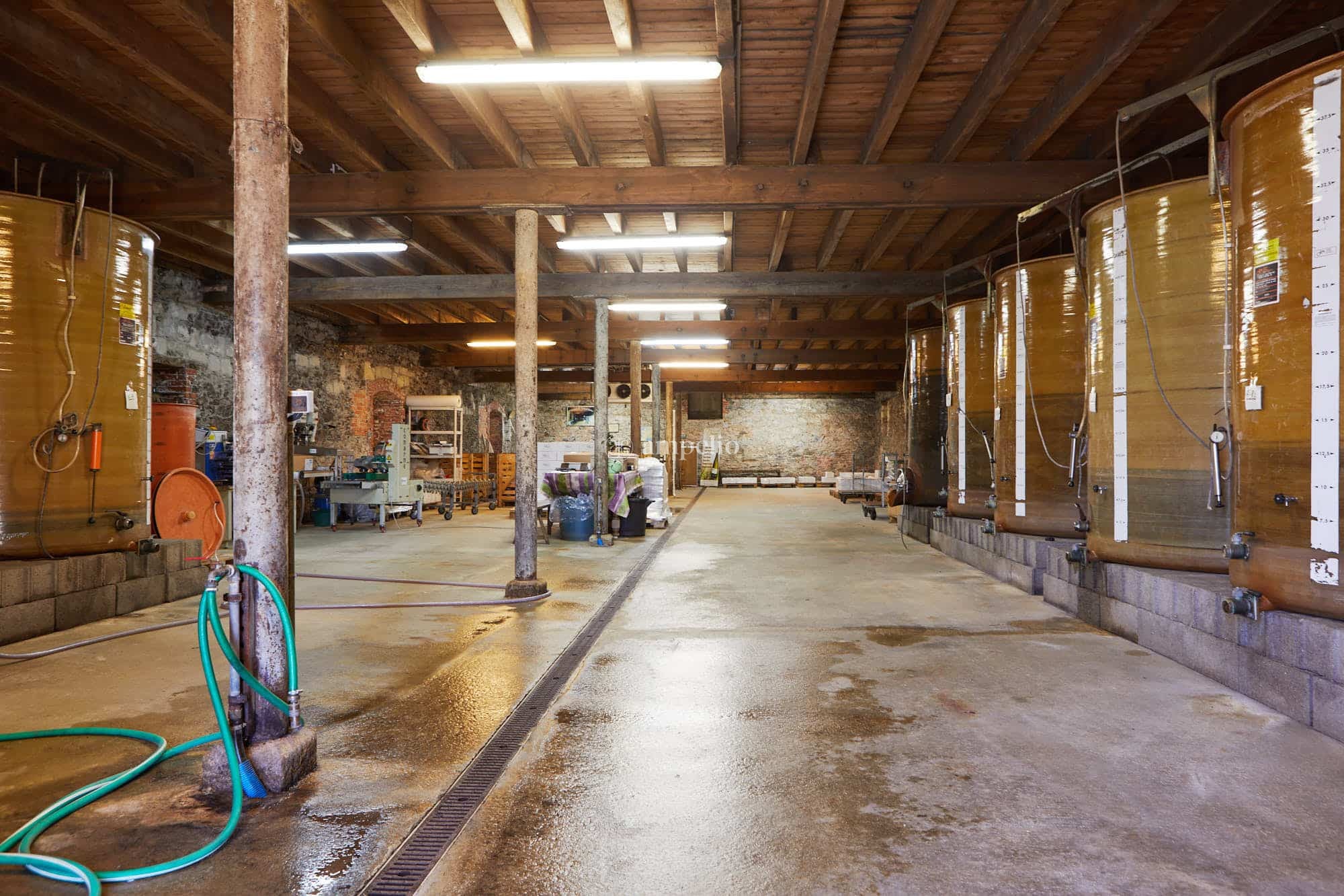 Dans un batiment ancien, ensemble de cuves pour des vins d'Anjou